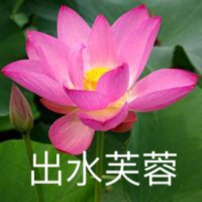 克鲁赛德战记九游版本下载